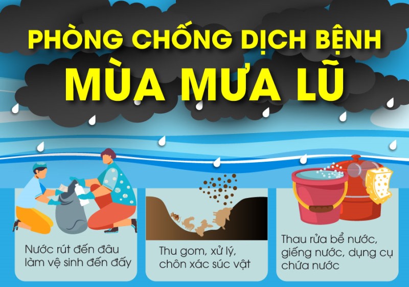 Phòng chống dịch bệnh trong bão lụt và mưa lũ