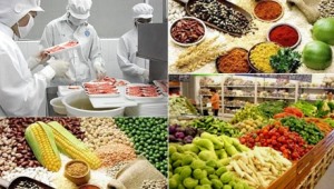 Điều kiện bảo đảm an toàn thực phẩm đối với cơ sở sản xuất, kinh doanh thực phẩm thuộc thẩm quyền quản lý của bộ y tế và cơ sở kinh doanh dịch vụ ăn uống