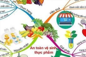 An toàn vệ sinh thực phẩm là gì